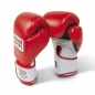 Preview: Boxhandschuhe Paffen Sport Fit